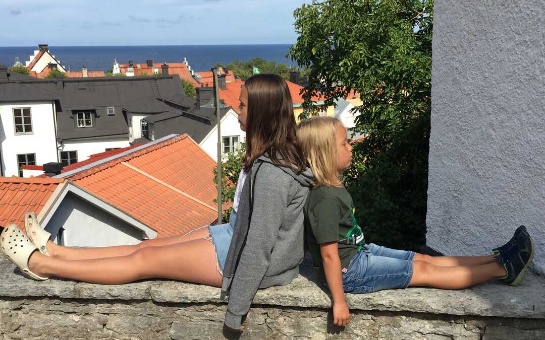 Ryggvinkel i Visby