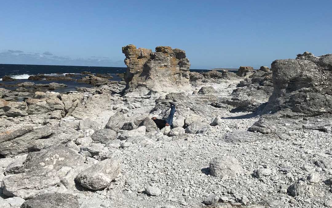 Utzoomad vinkelsittare på Fårö