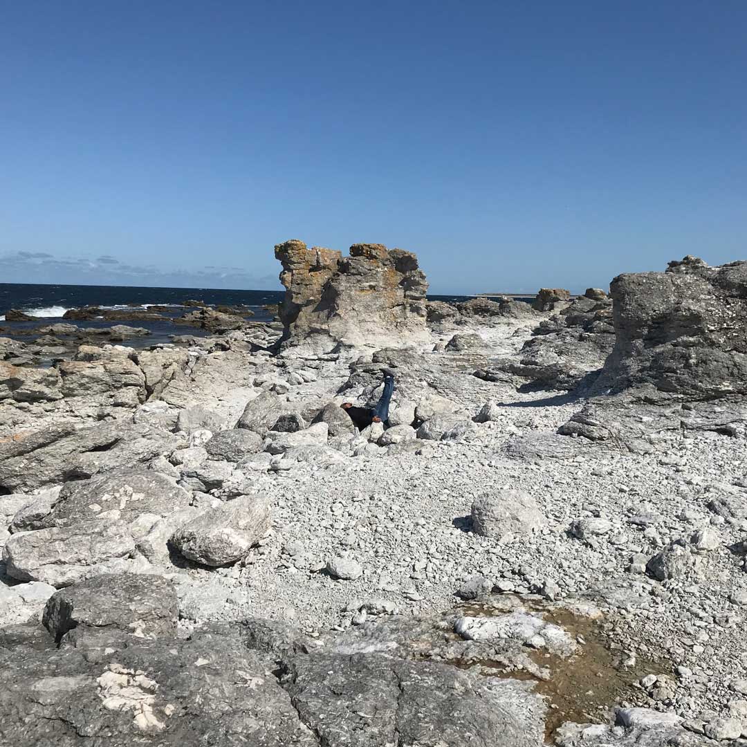 Utzoomad vinkelsittare på Fårö