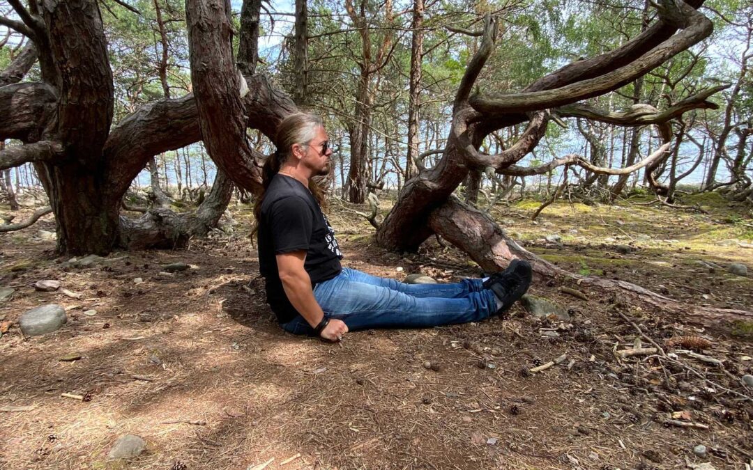 Upphittad vinkelsittare i Trollskogen